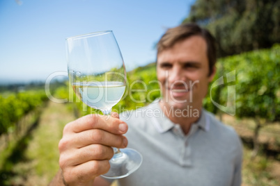 Smiling vintner examining glass of wine