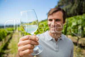 Smiling vintner examining glass of wine