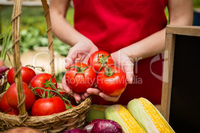 Mid section of woman holding fresh tomato at vegetable stall
