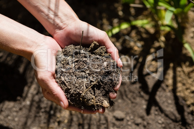 Woman holding soil in garden