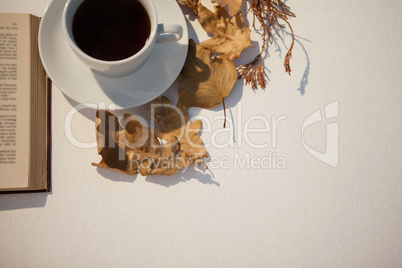 Autumn leaves, black tea and open book on white background
