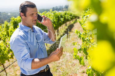 vintner using digital tablet while talking on mobile phone