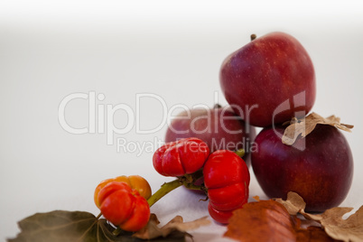 Close-up of red apples and Surinam cherry with autumn leaves