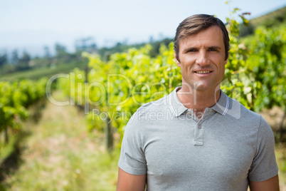 Portrait of smiling vintner standing in vineyard