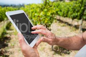 Close-up of vintner using digital tablet in vineyard