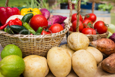 Various fresh vegetables arranged on table