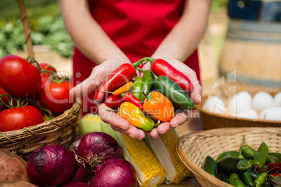 Mid section of woman holding fresh chili peppers at vegetable stall