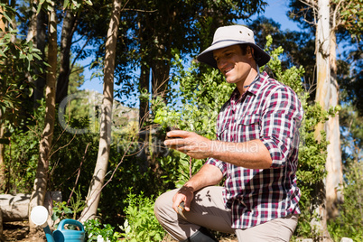 Happy man holding plant in garden