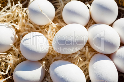 Close-up of eggs in wicker basket