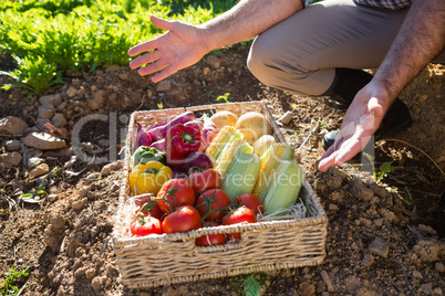 Low section of man with a basket of fresh vegetables