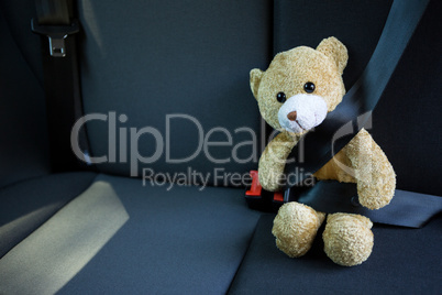 Teddy bear fastened in seat belt of car