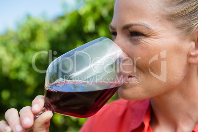 Close-up of female vintner tasting glass of wine