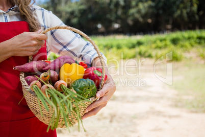 Mid section of woman holding a basket of fresh vegetables