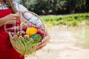 Mid section of woman holding a basket of fresh vegetables