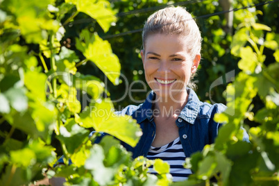 Female vintner standing in vineyard