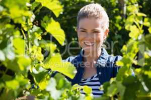 Female vintner standing in vineyard