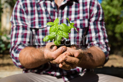 Mid section of man holding sapling in garden