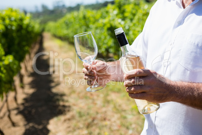 Mid section of vintner examining wine