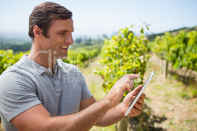 vintner using digital tablet in vineyard