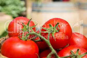 Fresh cherry tomatoes in wicker basket