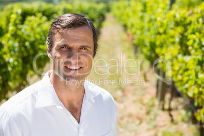 Portrait of smiling vintner standing in vineyard