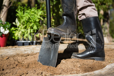 Low section of man standing with shovel in garden