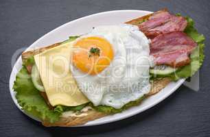 Sandwich with fried egg