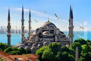 Blue Mosque and Bosphorus