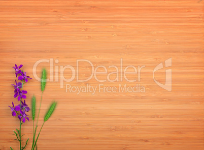 Delphinium flower on a wooden background. Free space for text.