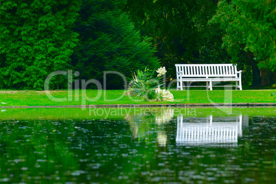 wooden bench on shore of picturesque lake