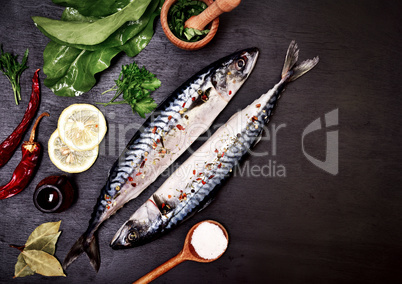Two mackerel in spices