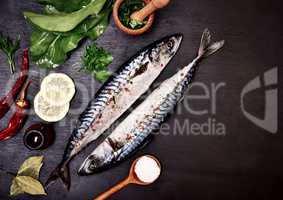 Two mackerel in spices