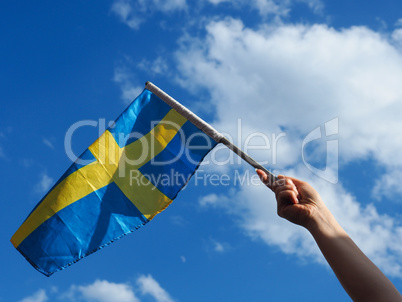 Woman with the Swedish flag