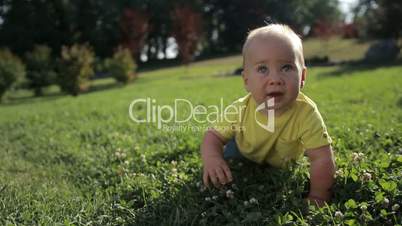 Happy toddler baby boy crawling on green grass
