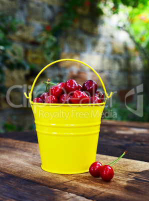 Ripe red cherry in a yellow metal bucket