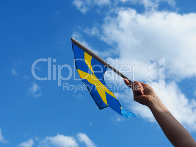 Woman with the Swedish flag