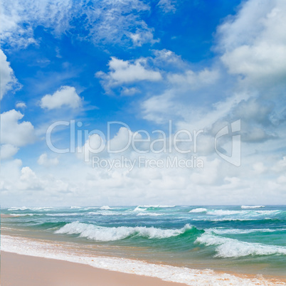 ocean, sandy beach and blue sky