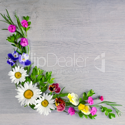 Flowers composition.Flat lay, top view