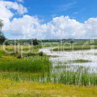 old lake with aquatic vegetation and sky