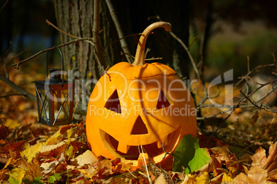 pumpkin-head and autumn forest