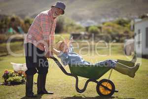 Senior man giving woman ride in wheelbarrow