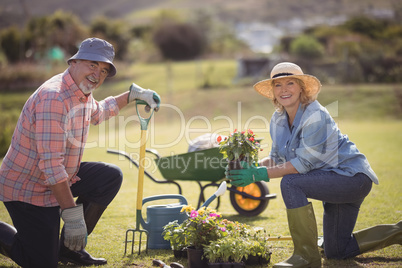 Smiling senior couple holding plant sapling while gardening