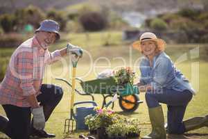 Smiling senior couple holding plant sapling while gardening