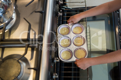 Cropped hands of boy holding muffin tin