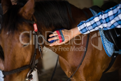 Man grooming the horse in the stable