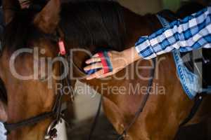 Man grooming the horse in the stable