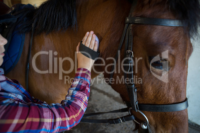Girl grooming the horse in the ranch