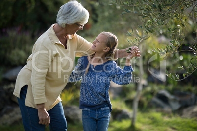 Smiling granddaughter and grandmother interacting with each other