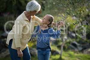 Smiling granddaughter and grandmother interacting with each other