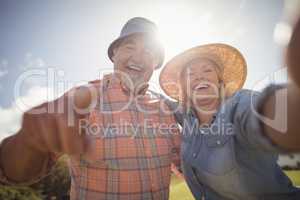 Smiling senior couple standing in lawn on a sunny day